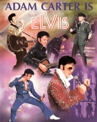 Tribute to Elvis Presley - Avenue Artistes